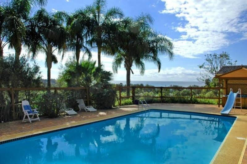 Ambience At Diggers Beach Coffs Harbour Zewnętrze zdjęcie